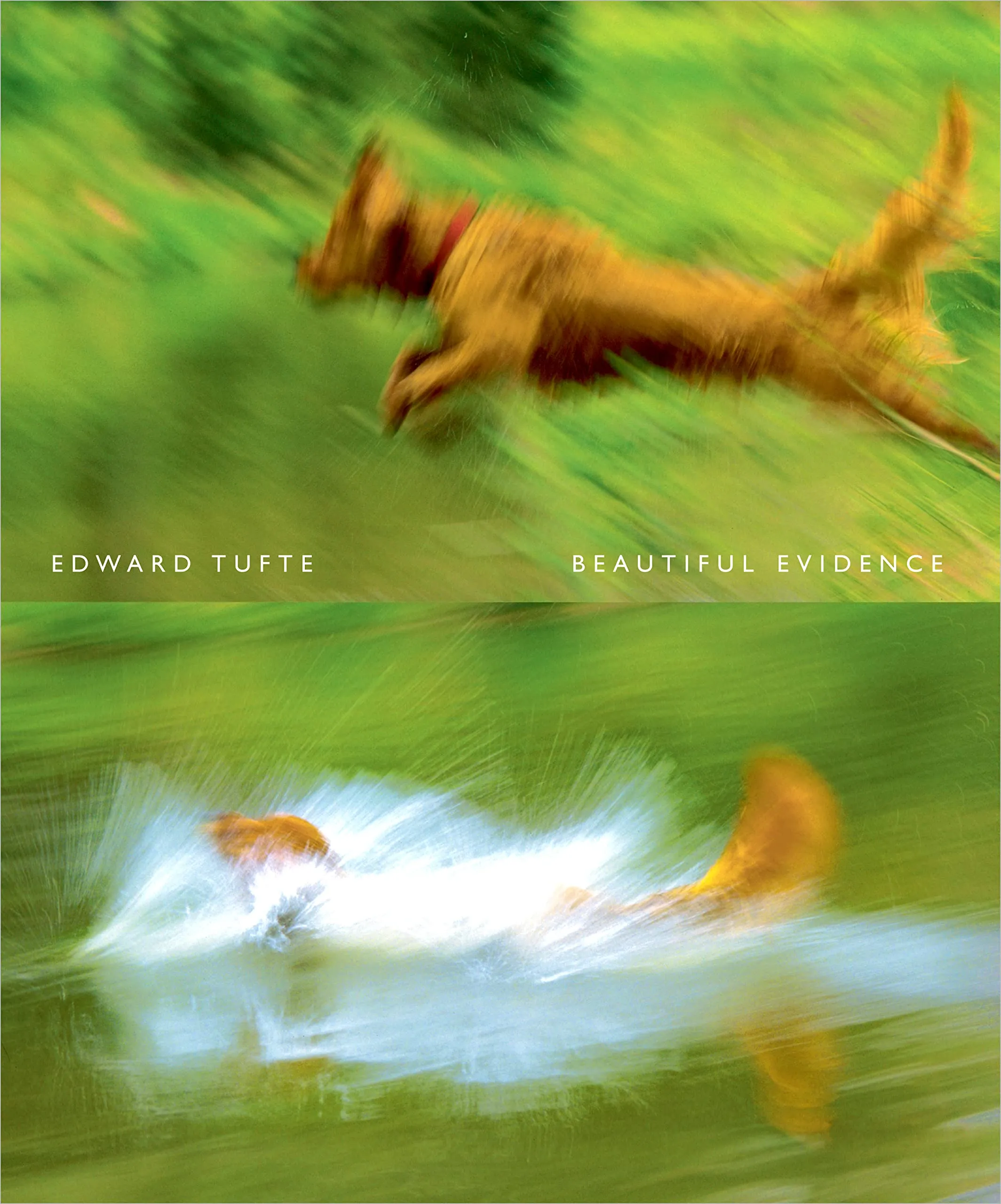 Beautiful Evidences book cover
